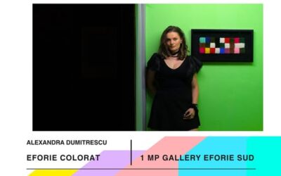 Expoziție la 1MP Gallery intre 18 iulie si 2 august