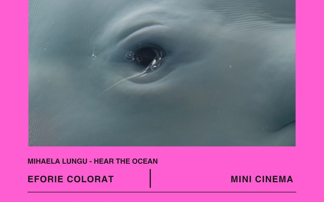 Hear the Ocean – O expoziție senzorială despre sunetele ascunse ale mării