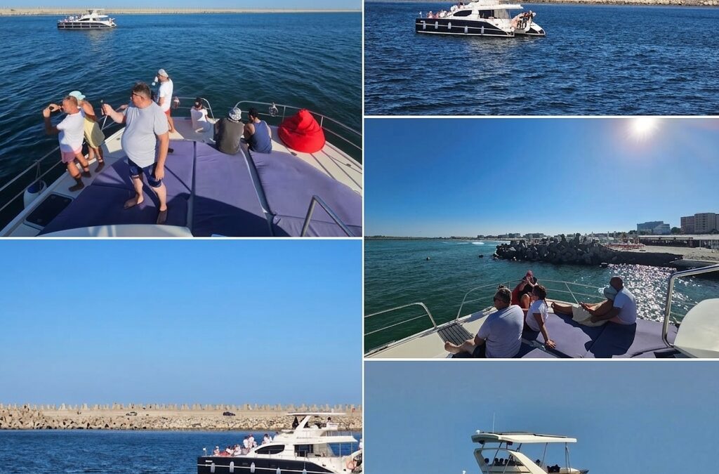 Experiențe pe litoral: Unde poți vedea delfinii în largul mării la Eforie Nord