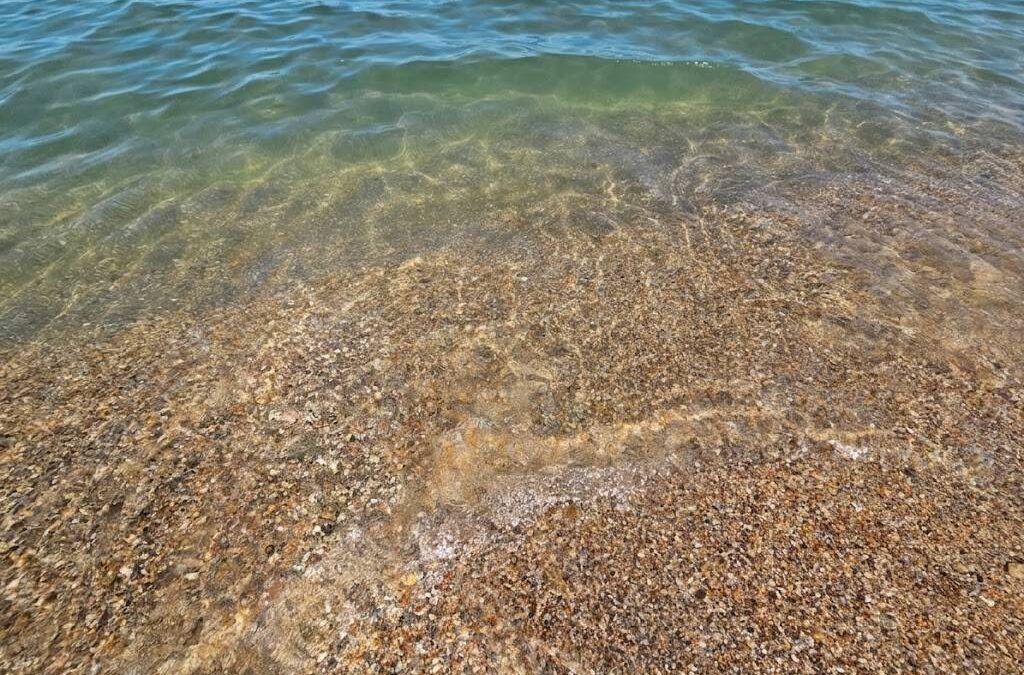 Vremea în Eforie Nord pe 12 August 2026: Plajă Însorită, Briză Plăcută și Apă Foarte Curată